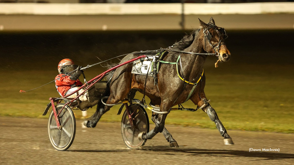 Brookdale Johnny Repeats In Summerside Finale