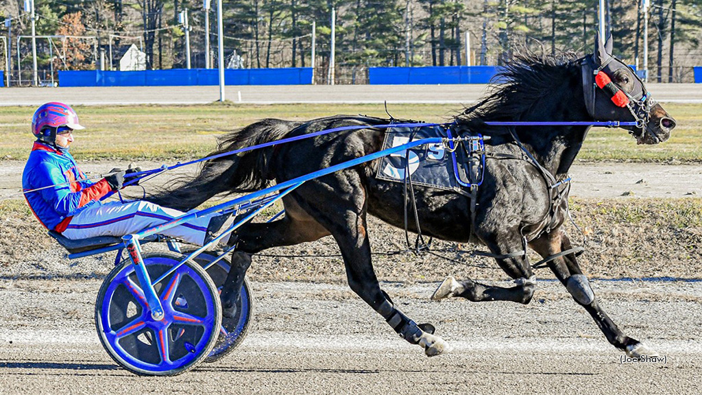 Brutalizer Beastly At Cumberland