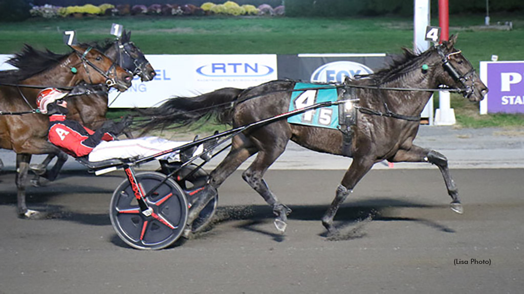 Custom, American Power Win New Jersey SDF Stakes