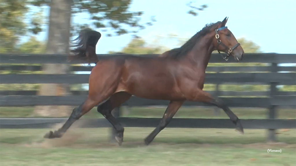 Custom Content Tops Harrisburg Day Three