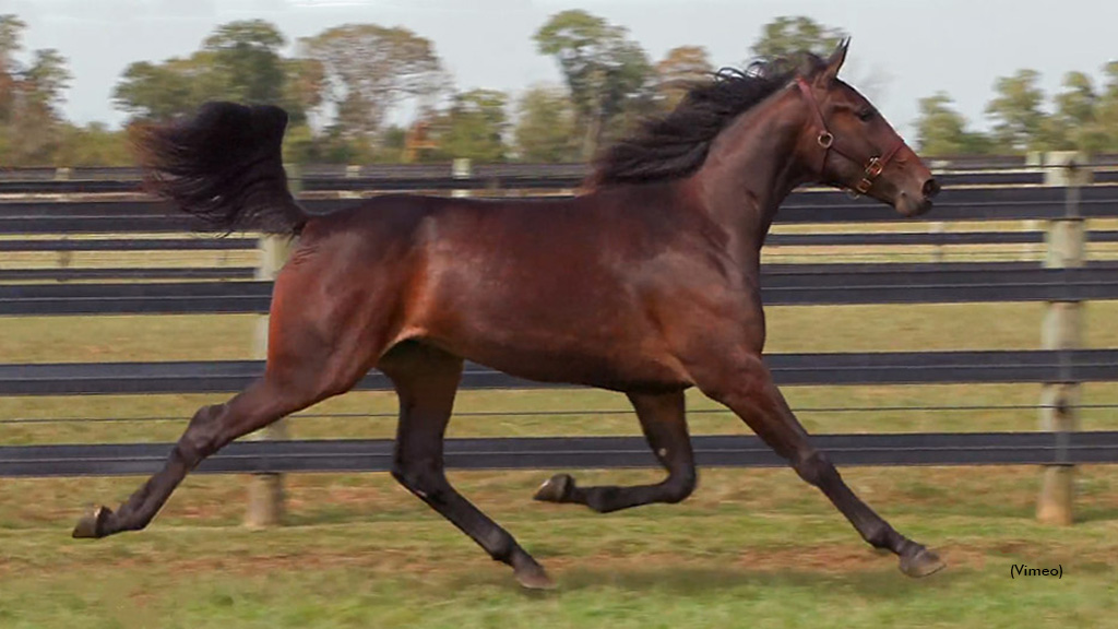 Dance Of Victory Tops Second Harrisburg Session