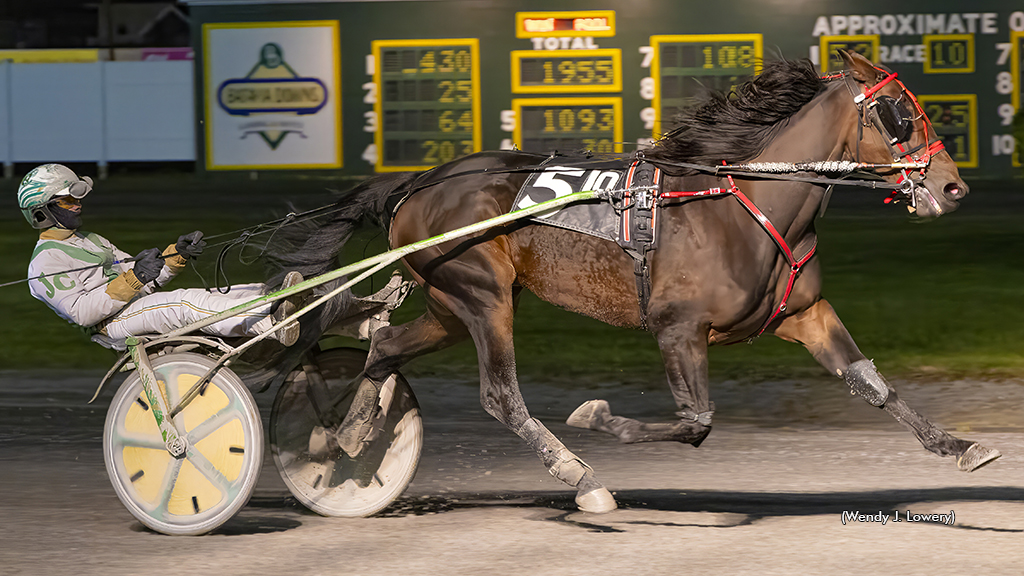El Toro Loco Makes Amends In Batavia Top Trot