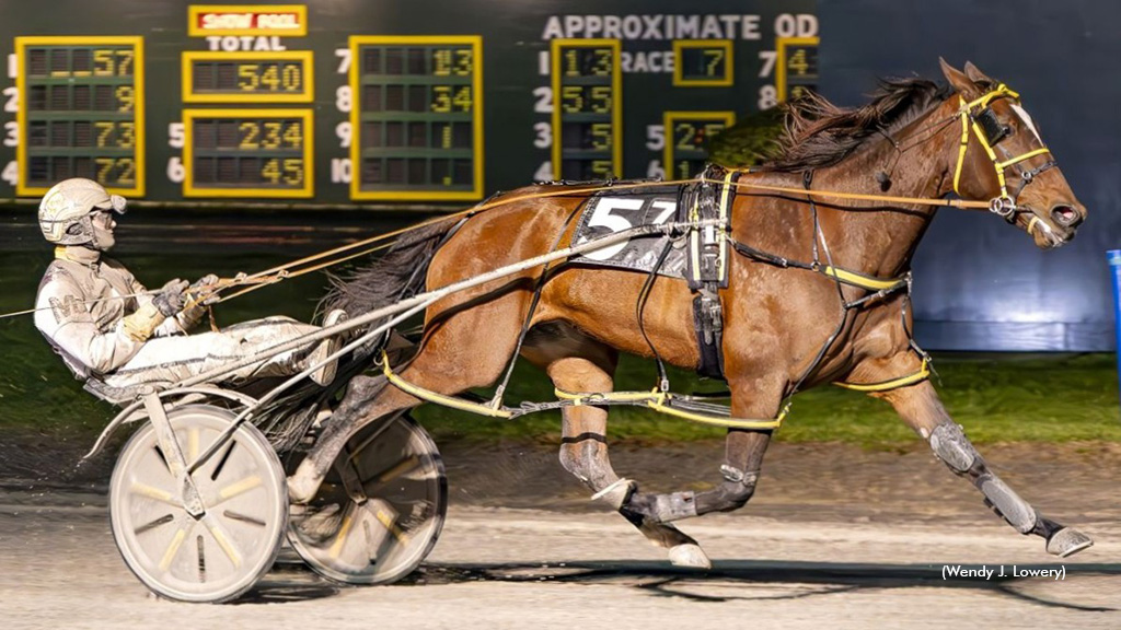 Elegant Woman A Struts Her Stuff In Batavia Open