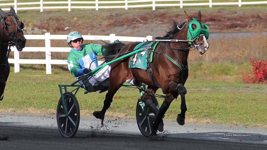 A Winning Week For Broodmare Tori Hall