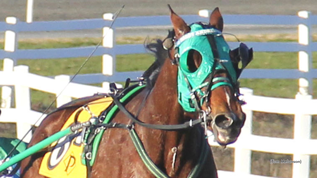 He Hunts Bags Plainridge Feature Victory
