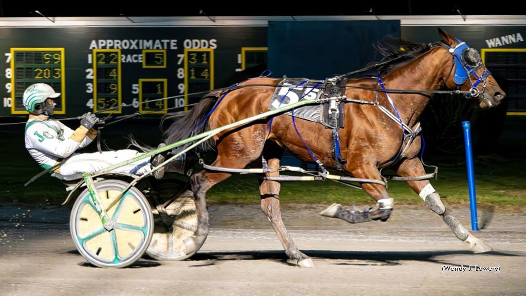 Hello In There Leaves Foes Behind In Batavia Feature