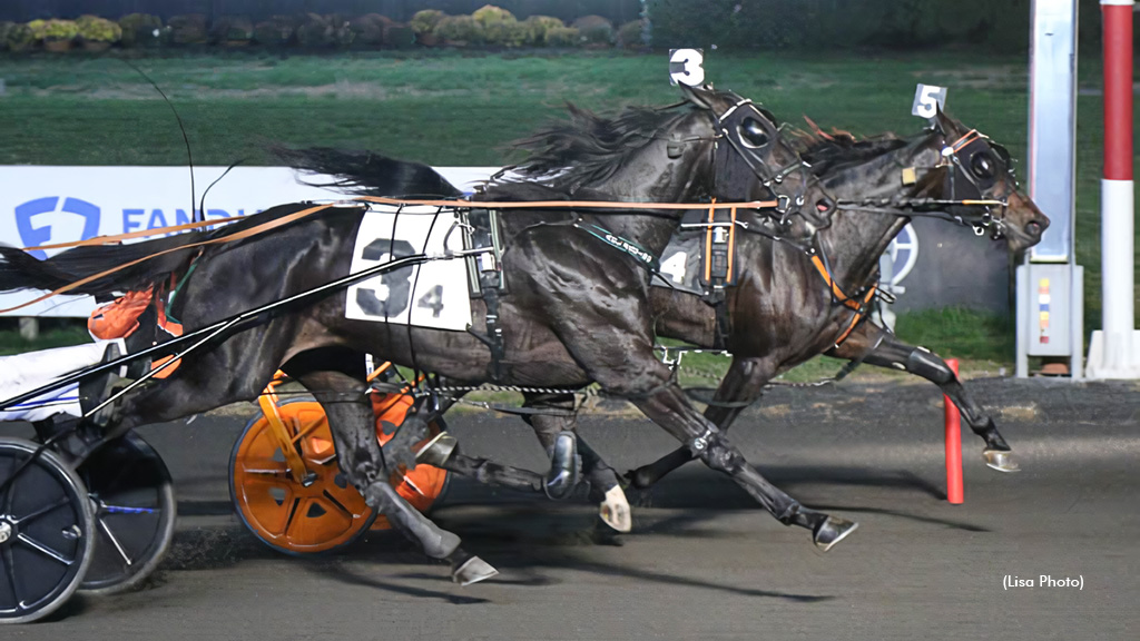 Herecomesdajudge Sweeps Exit 16W Series