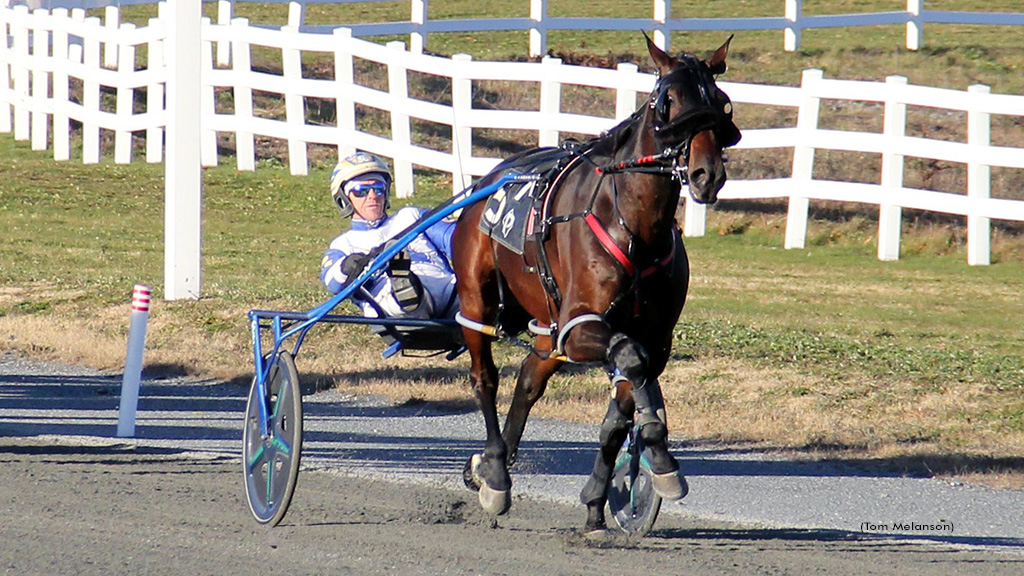 Cullipher, Gray Dominate Plainridge Proceedings