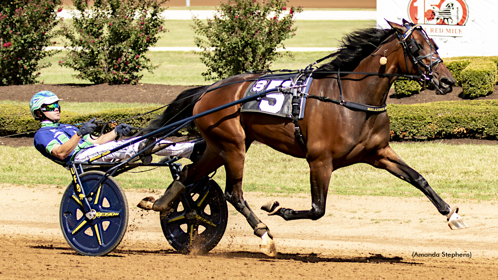 Kadena Tops Final Standardbred Horse Sale Session
