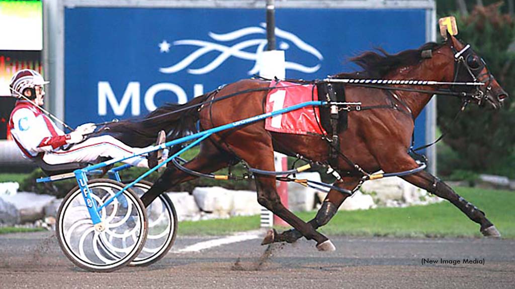 Odds On Equuleus On The Move