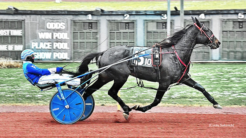 One After Nine Sweeps Winter Is Coming Prelims