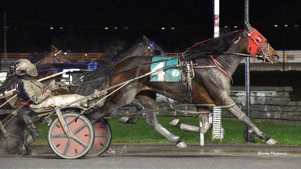 Rose Run Why Not Takes Preferred At Rainy Rideau