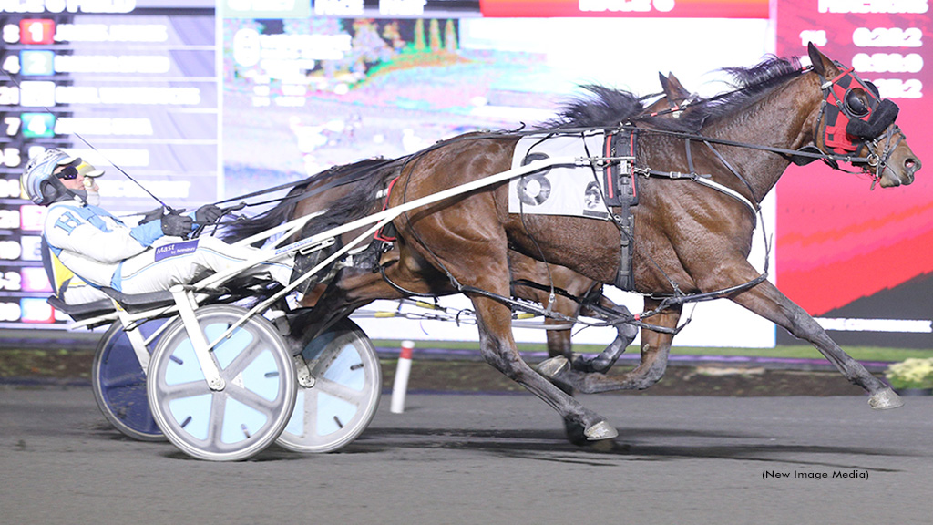 Savour The Moment Stuns In Harvest Series Final