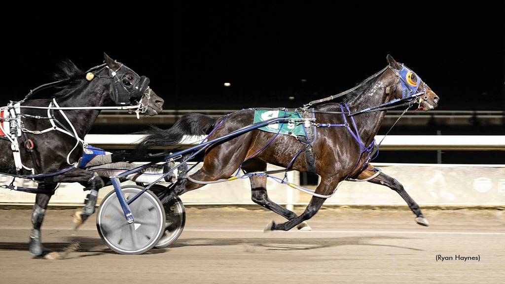 Shark Week Retakes Century Mile Preferred Crown