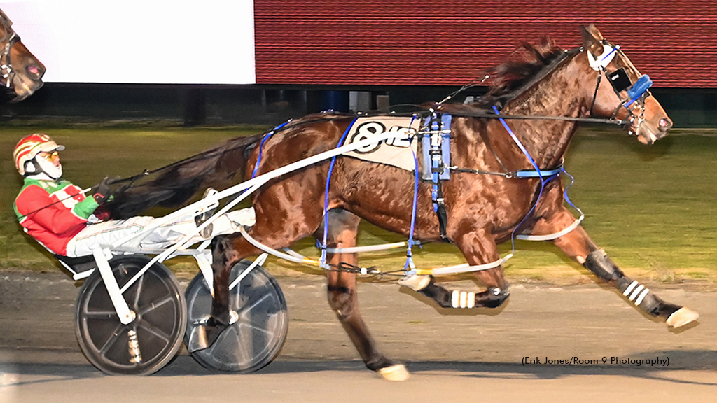 Sheer Terror Strikes In Rosecroft Open