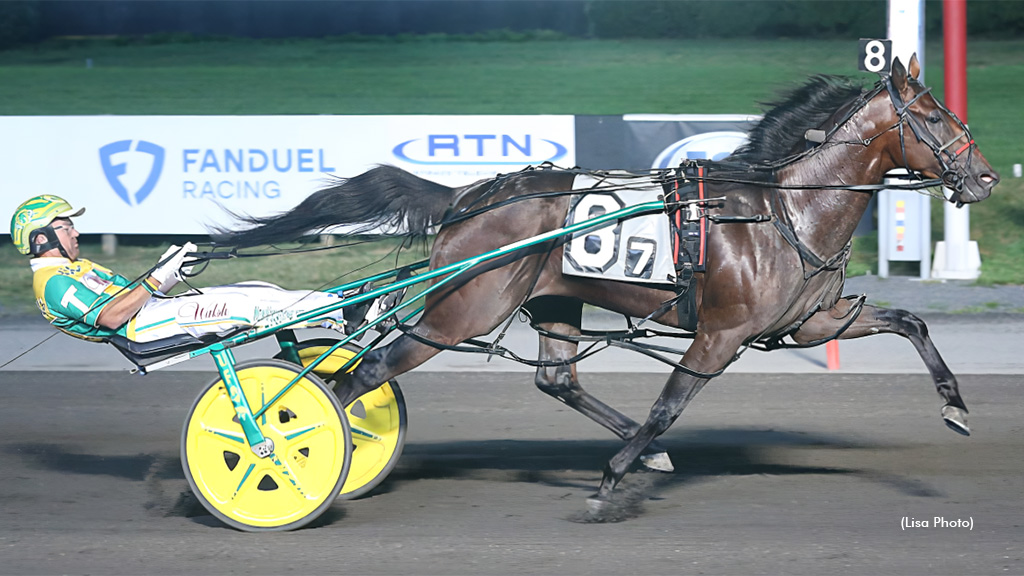 Pollack Newcomers Set For Progress Elims