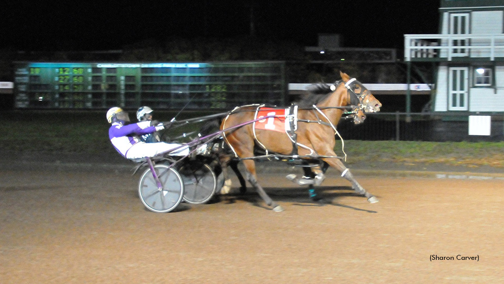 Sweet Molly Pockets Charlottetown Winners Over