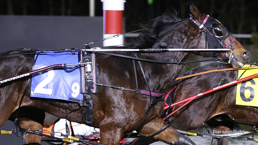 Taurasi Placed First In Mohawk Open