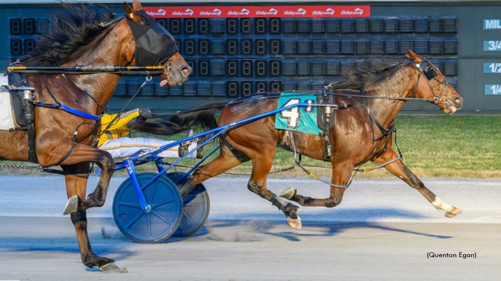 Thiskissformaryell Stays Perfect In DSBF