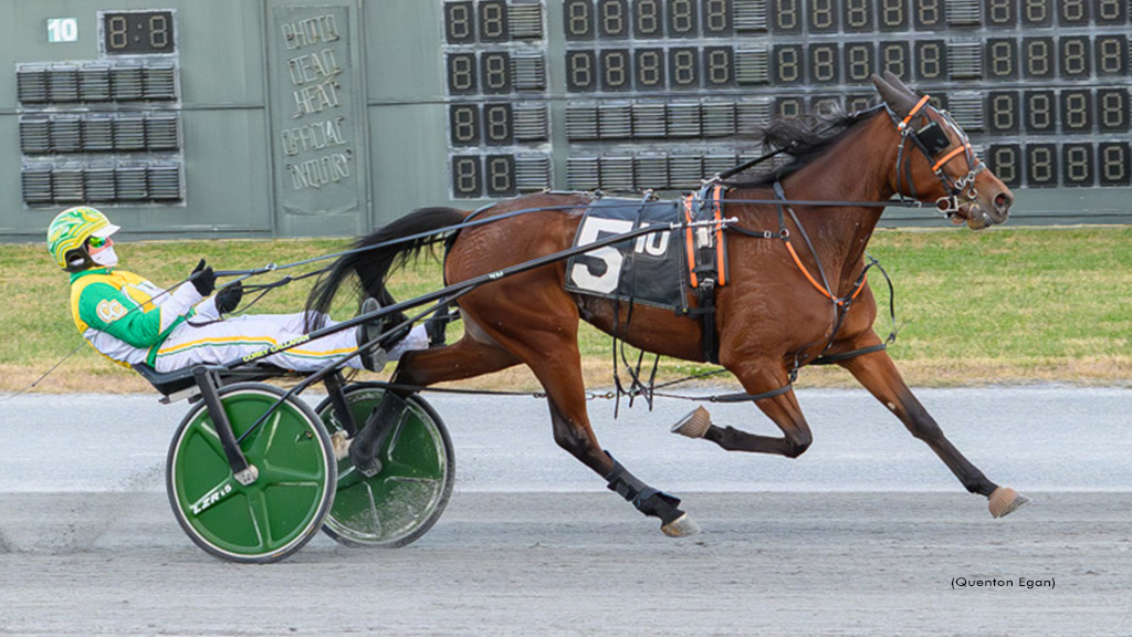 Tuis Star Runs Streak To Five In DSBF