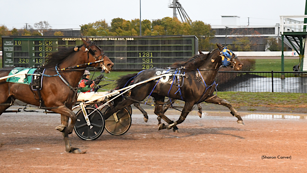 Twin B Tuffenuff Kicks Home To Take CDP Preferred