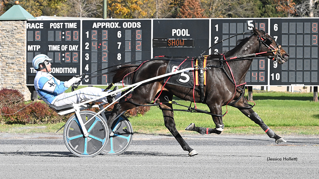 Twist Little Girl N Wins Open In Saratoga Debut