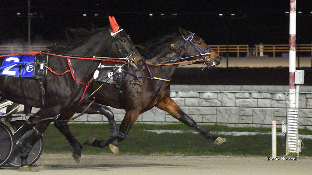 Tyrone Bow Tie Back On Top In Rideau Preferred Trot