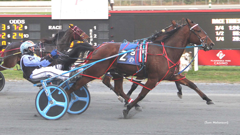 Warrawee Yale Top Of The Class In Baystate