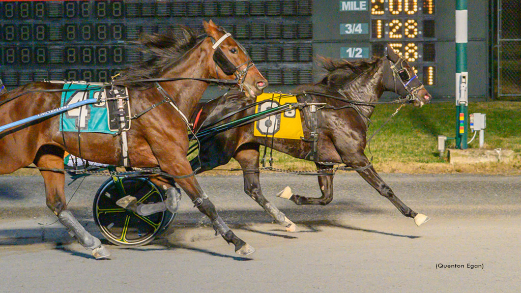 Wolfpack One Upsets In DSBF Final