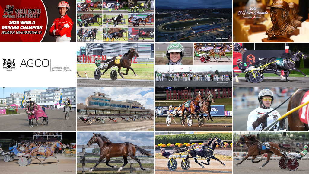 Top News Stories Of 2025: 25-1