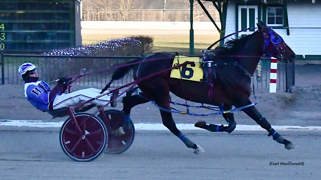 Bee Two Bee Streak Reaches Five In CDP Feature