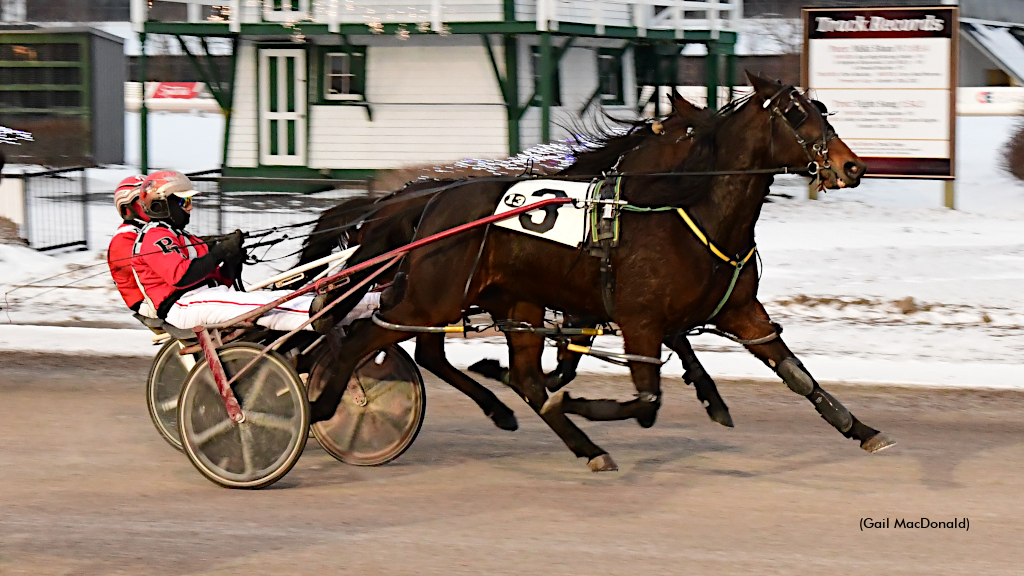 Brookdale Johnny Stuns In Charlottetown Preferred