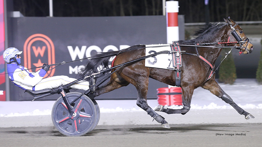 Chic Choc Rose Heads MacDonald's Mohawk Five-Bagger