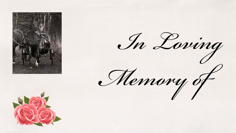 David Woolley Passes