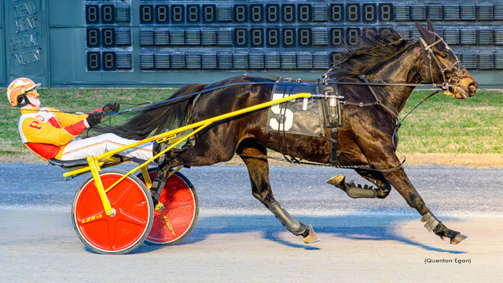 Kats Fancy Pristine In DSBF Prelim