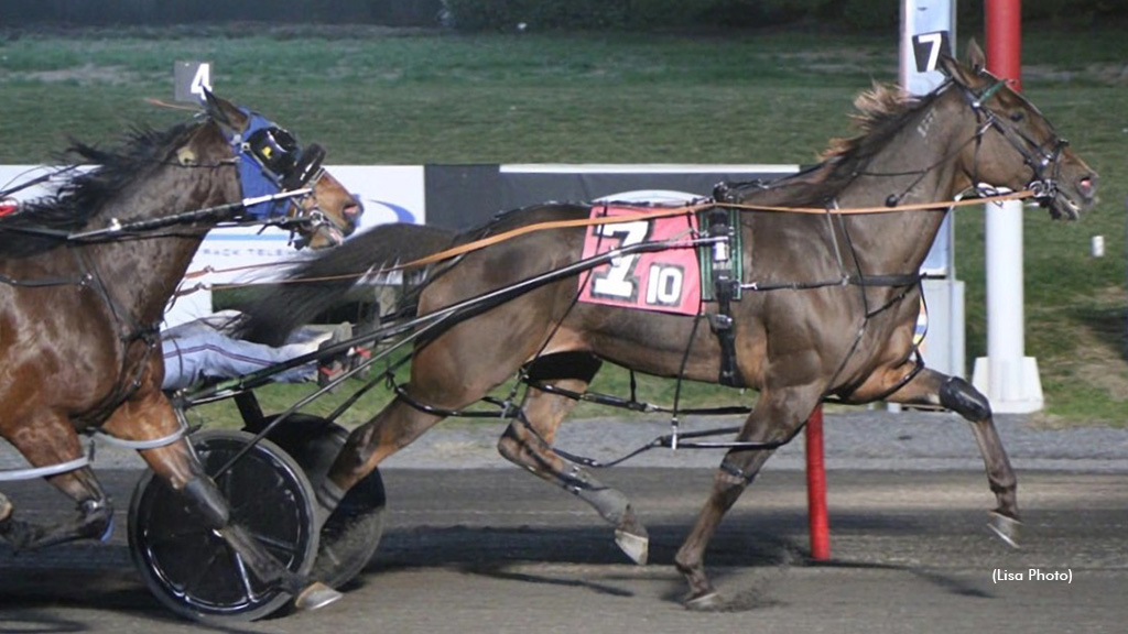 Pinny Tiger A Extends Streak In Big M Debut