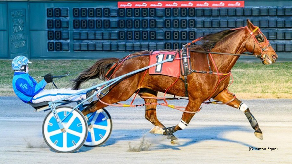 Primo Maschio Dominates Delaware Pacers