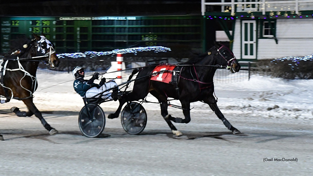 Windemere Saddy Soars In Charlottetown Preferred