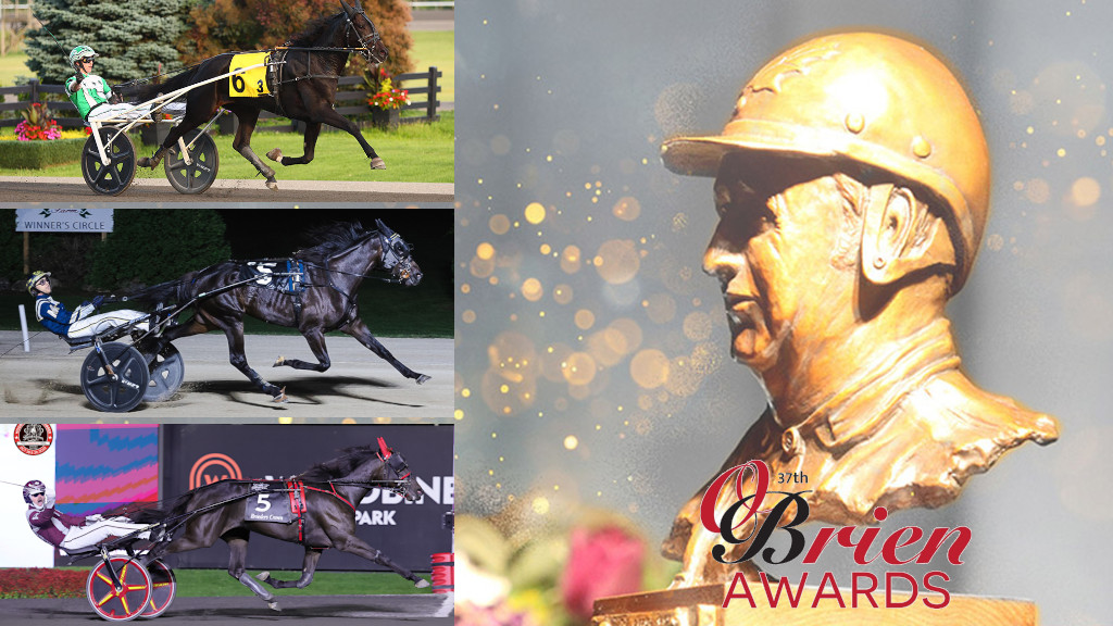 O’Briens Profiles: Two-Year-Old Trotting Filly