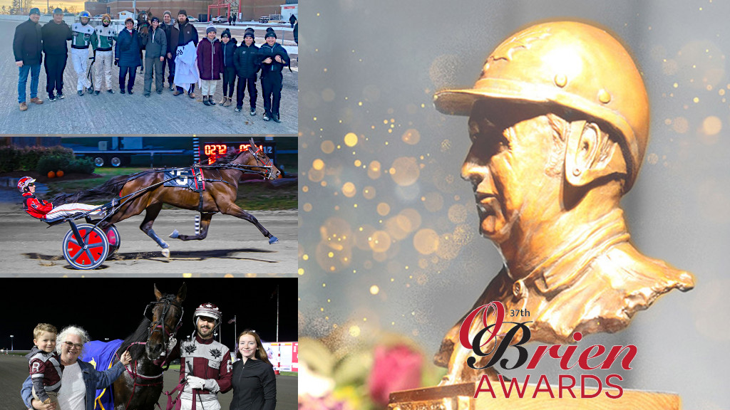 O’Briens Profiles: Future Star Award