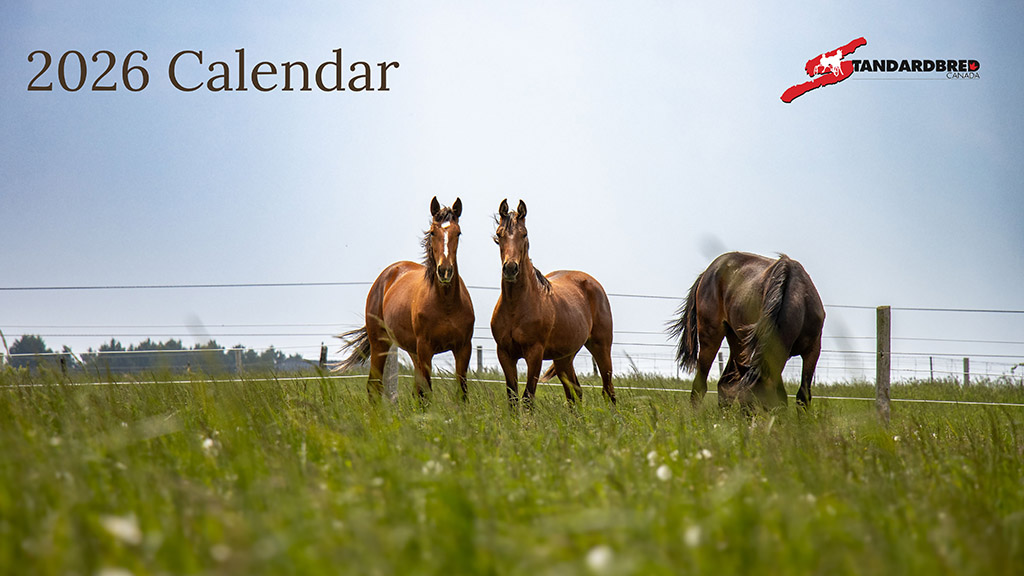 2026 SC Calendar Photographers Announced