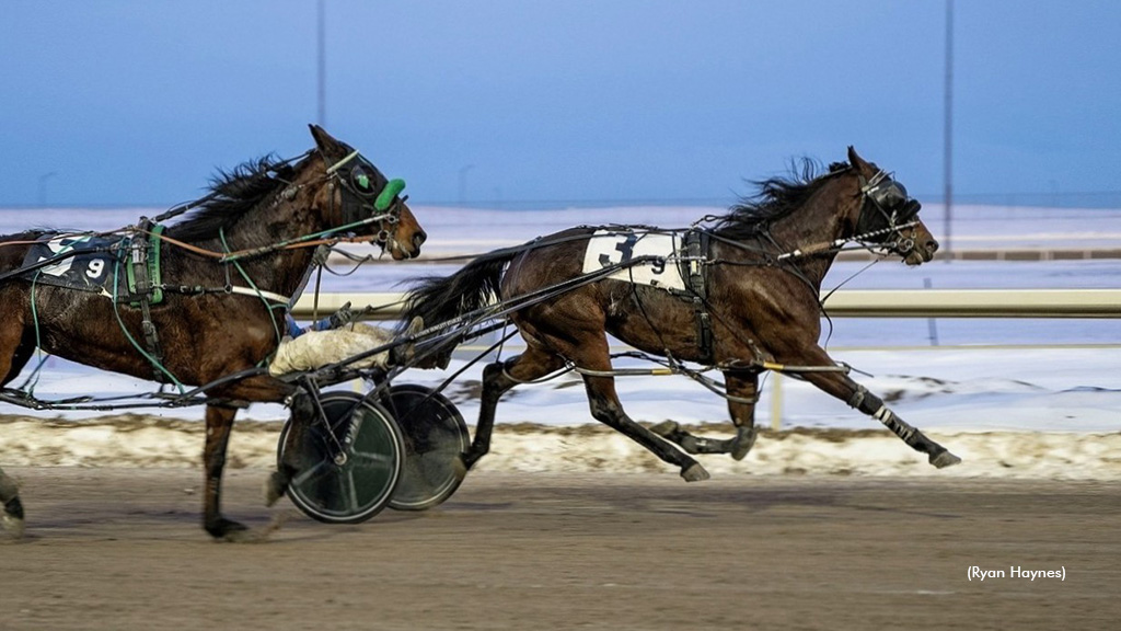 Baby Limbo Raises The Bar In Century Mile Preferred