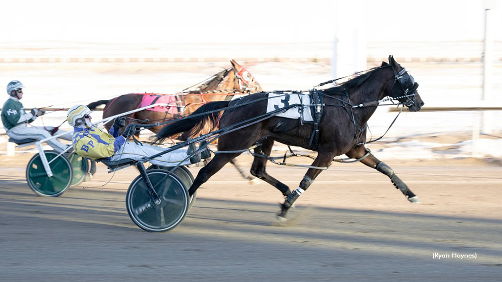 Baby Limbo Goes Back-To-Back In Century Mile Preferred