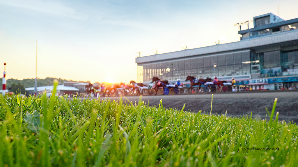 Canada's 2025 Standardbred Leaders
