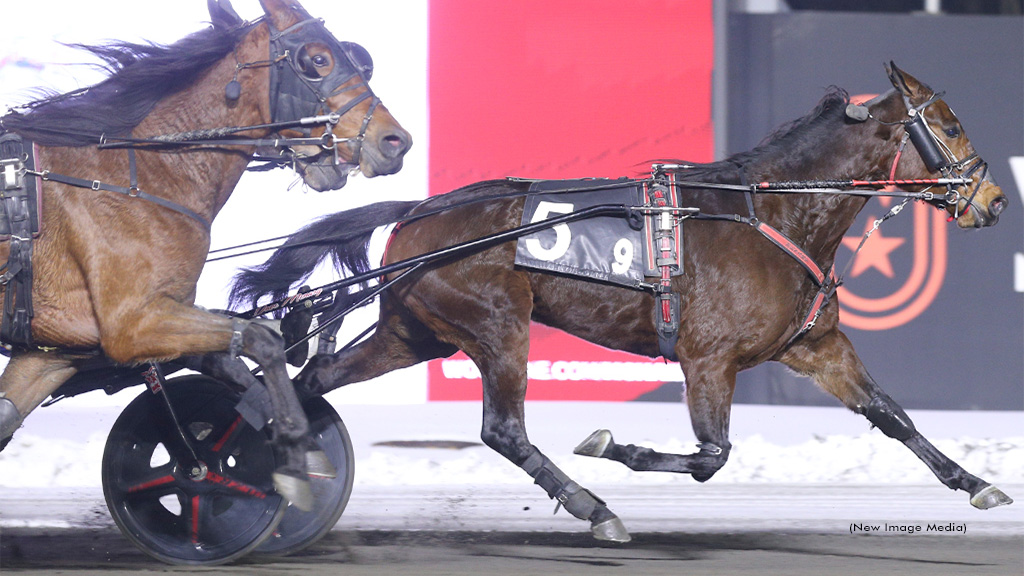 Chic Choc Rose Stays Hot At Mohawk