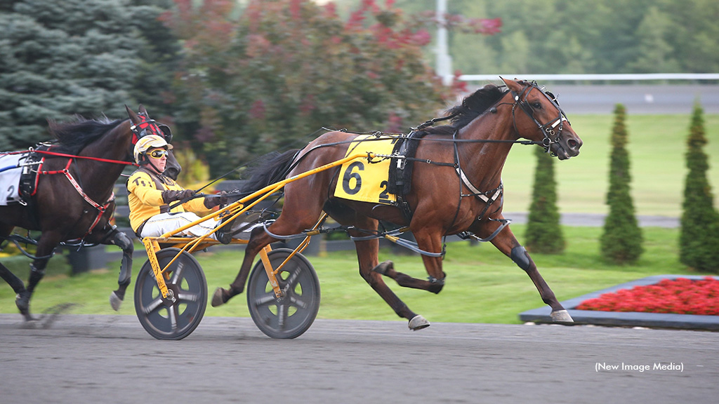 Cold Creek Pantera Looks To Pounce In Snowshoe Final