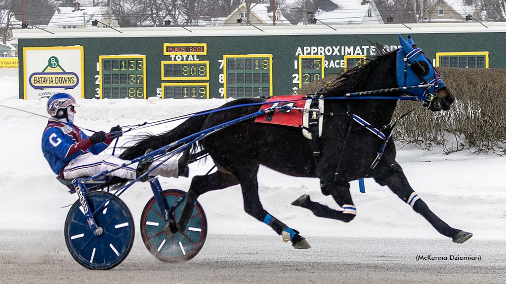 Crazy Fool All Business In Batavia Feature Trot