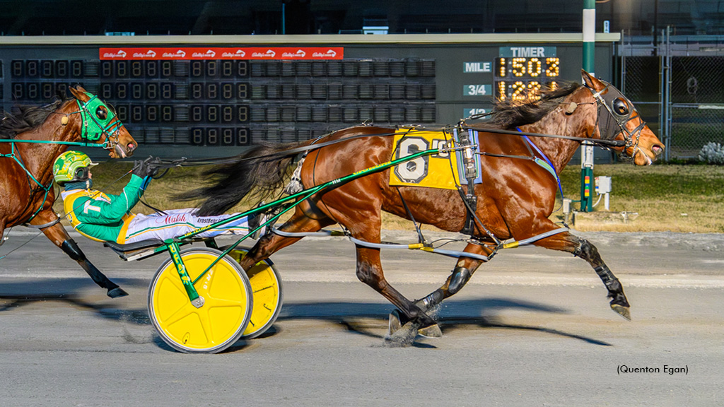 Factory Girl Delivers Dover Open Victory