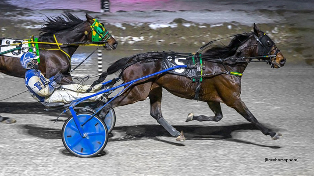 Insanity Strong In Preferred At Rainy London