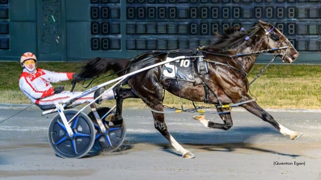 Muskateer Hanover On Target Again In Dover Open